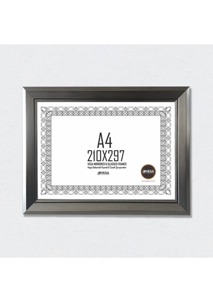 Vega Diploma Sertifika Çerçevesi fırsatları