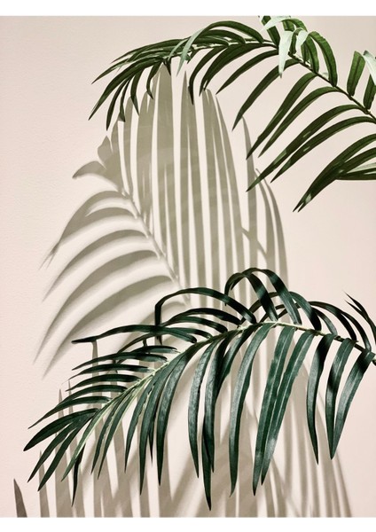 |yeşil Yaprak Kombin (Palm Leaves)|çerçeveli Cam Tablo 2li Dikey fiyatları