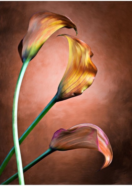 |retro “arum Lily” Modeli 02 |çerçeveli Temperli Cam Tablo Tekli Dikey