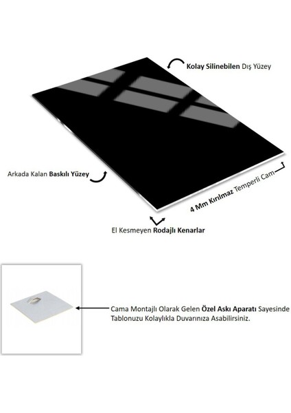 |soft Yaprak Gölgesi Modeli (Shade) |çerçeveli Temperli Cam Tablo Tekli Dikey