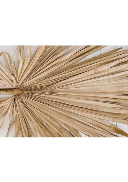 |krem Tonlu Merdiven Kuru Palmiye Kombinii |çerçeveli Temperli Cam Tablo 3lü Yatay modelleri