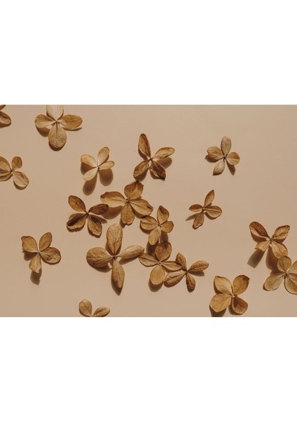 |kahve Renk Kuru Çiçek (Sedef)|çerçeveli Temperli Cam Tablo Tekli Yatay fiyatları