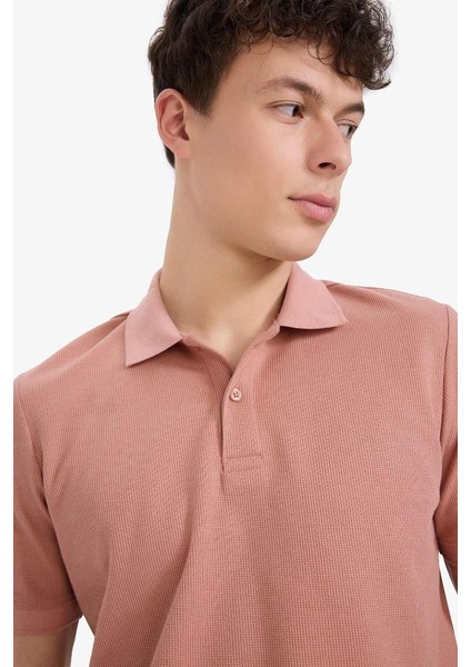 Yeni Sezon Regular Fit Polo Yaka Kısa Kollu Dokulu Waffle Polo Tişört indirimleri