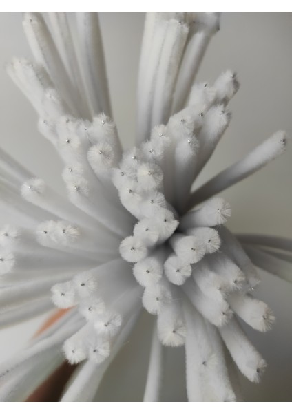 50 Adet Beyaz Şönil, Eğitici Şönil Seti, Yoğun Tüylü Tel, 30 cm modelleri