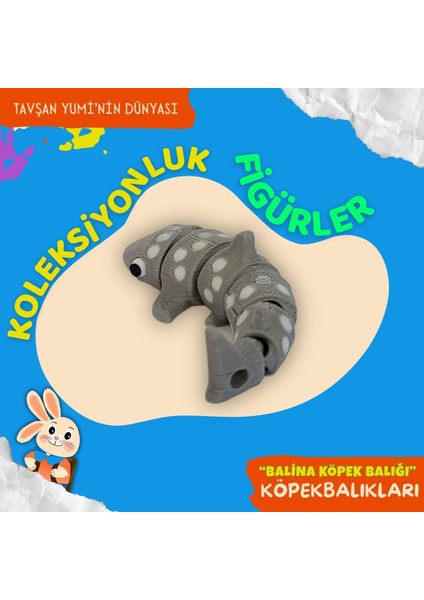 Köpekbalıkları Koleksiyonu - 4 Parça Hareketli Eğlenceli Oyuncaklar ve Bilgilendirici Kartlar - Köpek Balığı, Testere Köpek Balığı, Çekiç Başlı Köpek Balığı, Balina Köpek Balığı indirimleri