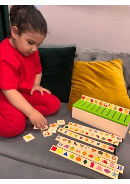Eğitici Bilgi Sınıflandırma Kutusu Ahşap Mazgal Oyuncak 88 Parça