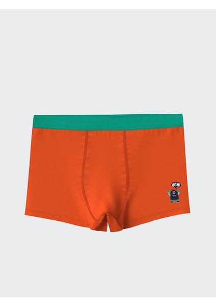 Yeni Sezon Baskili Erkek Cocuk Boxer 3'lu - S5HN47Z4 modelleri