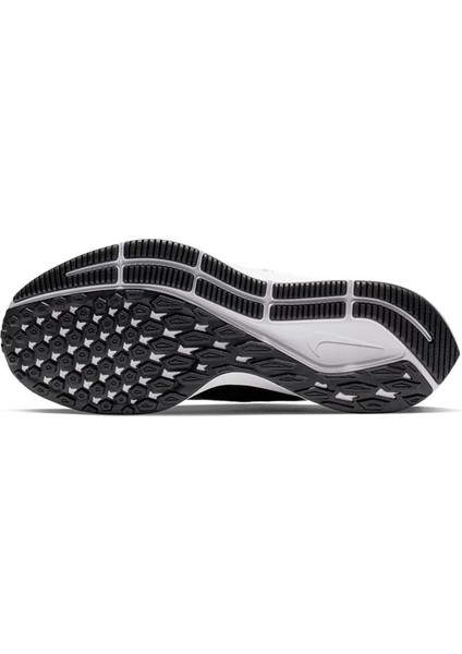 Air Zoom Pegasus 36 / AQ2210-004 Spor Ayakkabı AQ2210-004 modelleri