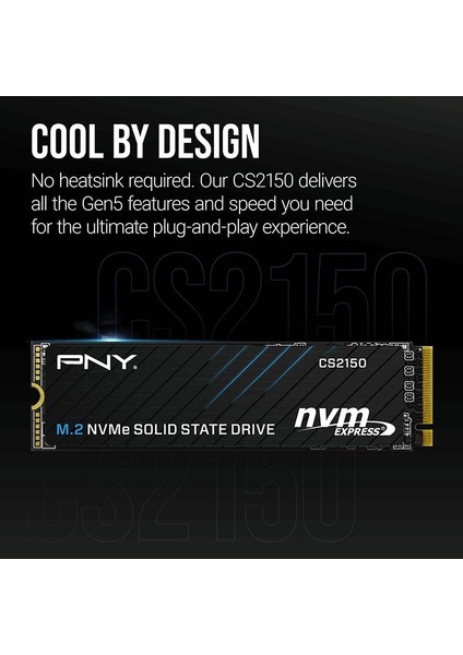 CS2150 1tb 10200/8300 Mb/s M.2 Nvme SSD (M280CS2150-1TB-TB) modelleri