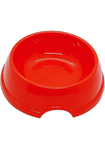 Kabı Küçük Boy fiyatları