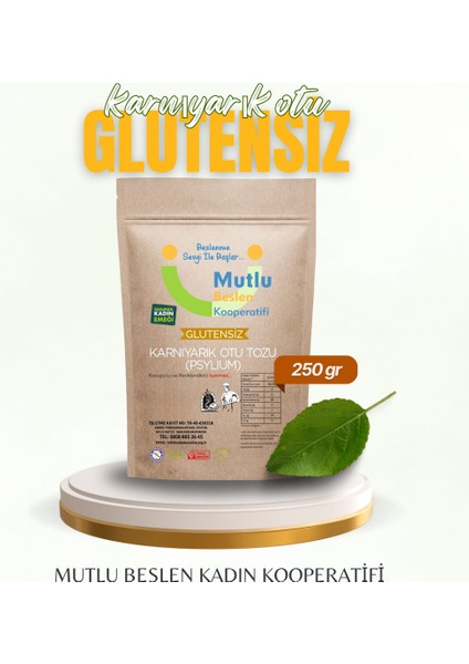 Karnıyarık Otu Tozu ( Psylıum) Glutensiz 250 G