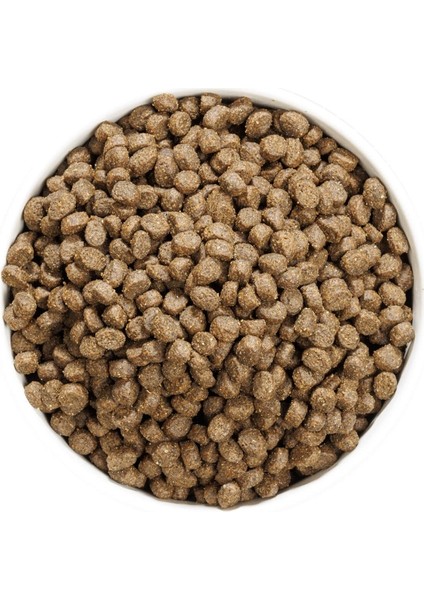 3 kg Sterilised Somonlu Kedi Maması modelleri