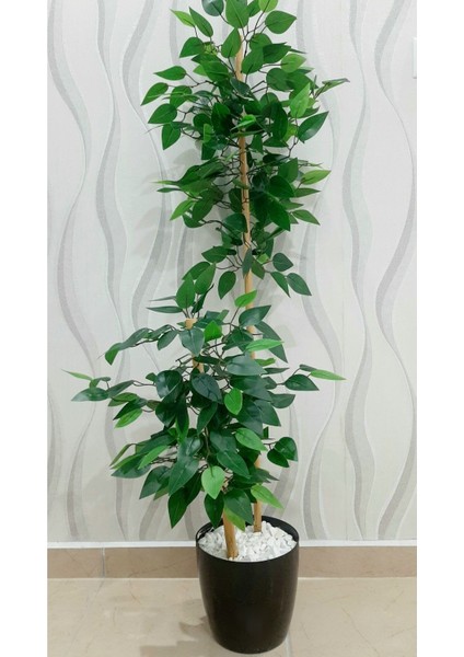 Yapay Çiçek, Yapay Benjamin Ağacı 150 Cm, Yoğun Yapraklı Salon Bitkisi Ev Dekorasyonu fiyatları