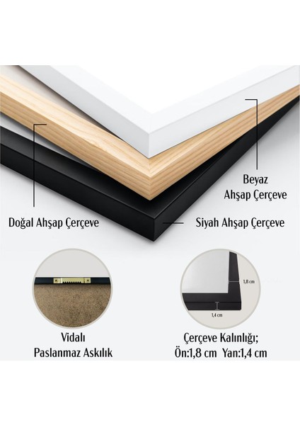 Tekli Ahşap Çerçeveli Tablo Siyah Kedi Tek Parça Poster Tablo KTC/016