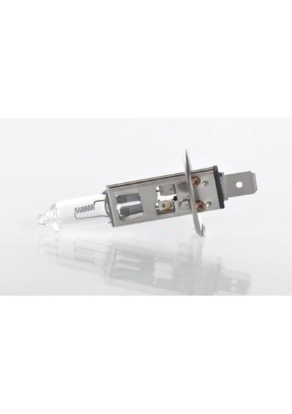 24V Standart H1 Ampül 70W