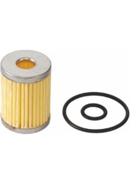 Tartarini Tip Lpg Filtresi