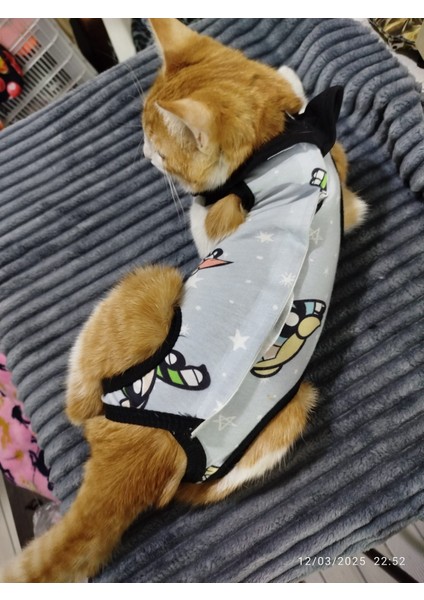 Kedi Köpek Ameliyat Sonrası Yara Koruma Tulumu modelleri
