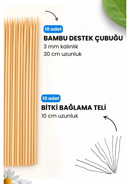 Bitki Fidan Saksı Destek Kazığı 10 Adet 30CM Bambu Destek Çubuğu Seti fiyatları