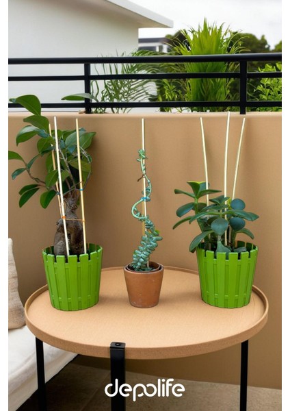 Bitki Fidan Saksı Destek Kazığı 10 Adet 30CM Bambu Destek Çubuğu Seti fırsatları