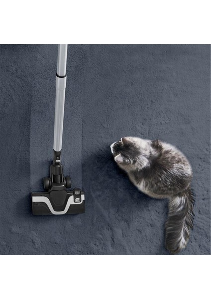 Turbo Başlıklı Sessiz Silence Force Cyclonic Effitech Animal Toz Torbasız Elektrikli Süpürge 900W