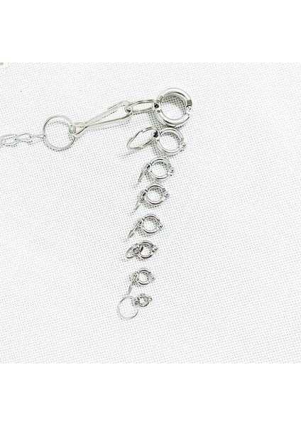 8 mm Stili Papağan Bacak Halkası Alaşım Açık Hava Uçma Aktivitesi Evcil Kuşlar Ayak Halkaları Güvercin Malzemeleri Güvenli Dayanıklı Eğitim Aksesuarları (Yurt Dışından) indirimleri