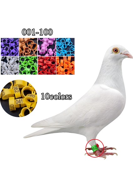 Yeşil Stil Güvercin Ayak Yüzüğü Çıkarılabilir Plastik Işaretleme Sayısal Güvercin Ayak Yüzüğü Evcil Kuş Malzemeleri Işaretleme Tanımlama Yüzüğü (Yurt Dışından) fiyatları