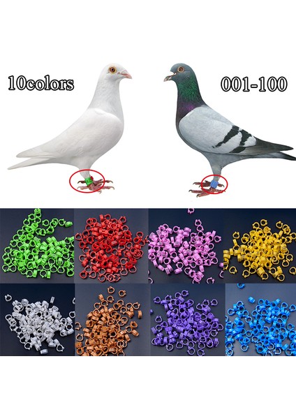Yeşil Stil Güvercin Ayak Yüzüğü Çıkarılabilir Plastik Işaretleme Sayısal Güvercin Ayak Yüzüğü Evcil Kuş Malzemeleri Işaretleme Tanımlama Yüzüğü (Yurt Dışından) indirimleri