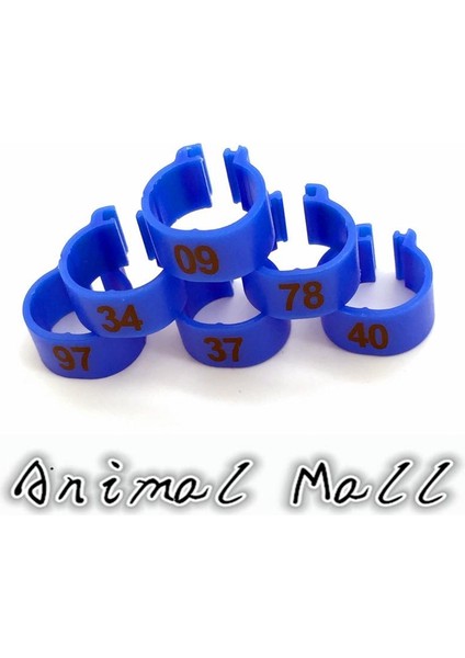 Mavi Stil S Beden Kuş Malzemeleri Evcil Kuşlar Taşıyıcı Güvercin Papağan 10 Renkli Dijital Ayak Yüzüğü Bayonet Işaretleme Yüzüğü (Yurt Dışından)