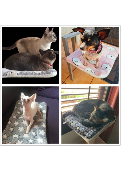 Yıldız Stili Ile Mavi M 61X41CM Küçük Orta Köpekler Için Kış Pet Battaniye Yumuşak Mercan Polar Köpek Yatağı Kalın Yastık Kedi Mat Sıcak Uyku Yatakları Evcil Hayvanlar Aksesuarları (Yurt Dışından) indirimleri