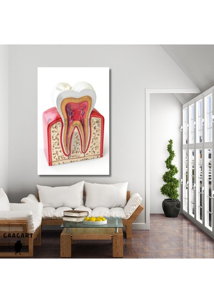 Tekli Dikey Kanvas Diş Poliklinik Tablosu 3D Görünümlü Diş