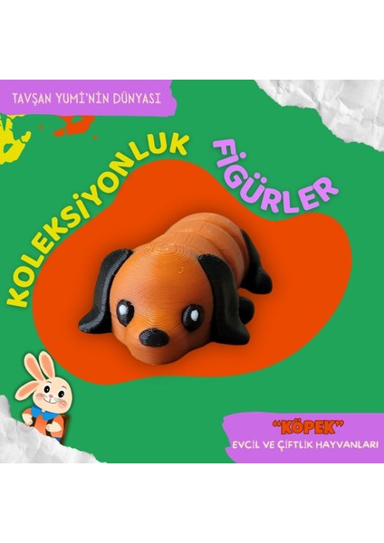 Evcil ve Çiftlik Hayvanları Koleksiyonu - 4 Parça Hareketli Eğlenceli Oyuncaklar ve Bilgilendirici Kartlar- Köpek, Kedi, Tavşan, İnek fiyatları