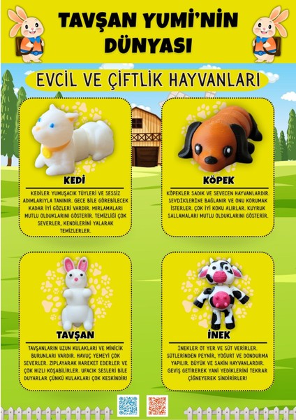 Evcil ve Çiftlik Hayvanları Koleksiyonu - 4 Parça Hareketli Eğlenceli Oyuncaklar ve Bilgilendirici Kartlar- Köpek, Kedi, Tavşan, İnek