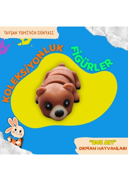 Orman Hayvanları Koleksiyonu - 4 Parça Hareketli ve Eğlenceli Oyuncaklar ve Bilgilendirici Kartlar - Geyik, Tilki, Rakun, Boz Ayı indirimleri