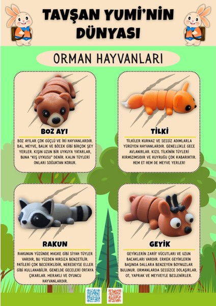 Orman Hayvanları Koleksiyonu - 4 Parça Hareketli ve Eğlenceli Oyuncaklar ve Bilgilendirici Kartlar - Geyik, Tilki, Rakun, Boz Ayı