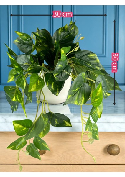 Yapay Sarmaşık Pothos Salon Sarmaşığı Plastik Saksı Yapay Salon Çiçeği Yeşil Salon Bitkisi 30X30 cm fırsatları