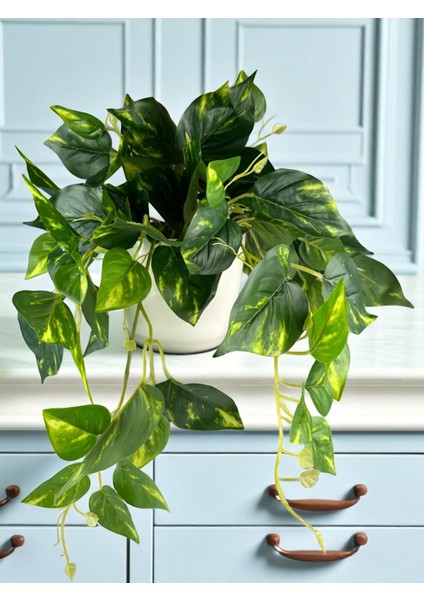 Yapay Sarmaşık Pothos Salon Sarmaşığı Plastik Saksı Yapay Salon Çiçeği Yeşil Salon Bitkisi 30X30 cm indirimleri
