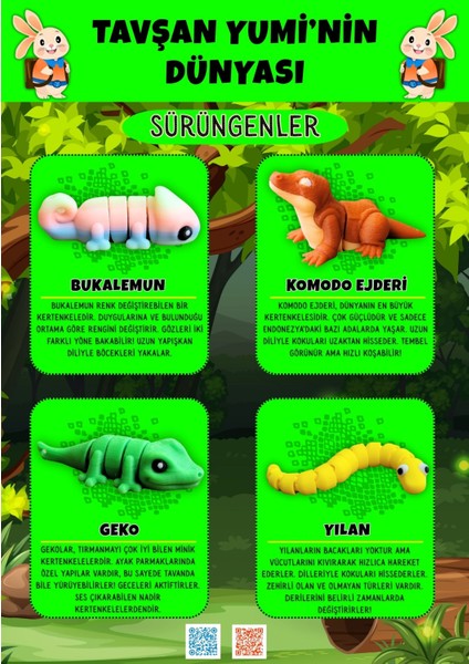 Sürüngenler Koleksiyonu - 4 Parça Hareketli Eğlenceli Oyuncaklarve Bilgilendirici Kartlar- Yılan- Komodo Ejderi -Bukalemun - Geko -