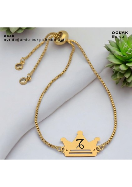 Ocak Ayı Doğumlarına Özel Taç Figürlü 14 Ayar Altın Plakalı Zincirli Hediye Bileklik-492AY fiyatları