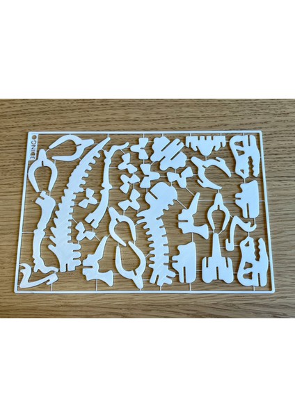 T-Rex 3D Dinozor Puzzle Maket Kiti 29 Parça | Kurulabilir Oyuncak Iskelet | Hobi Eğitim Koleksiyon