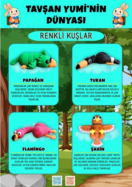 Renkli Kuşlar Koleksiyonu - 4 Parça Hareketli Oyuncaklar - Papağan, Flamingo, Şahin,Tukan - Anahtarlık, Çanta Aksesuarı, Oyuncak indirimleri