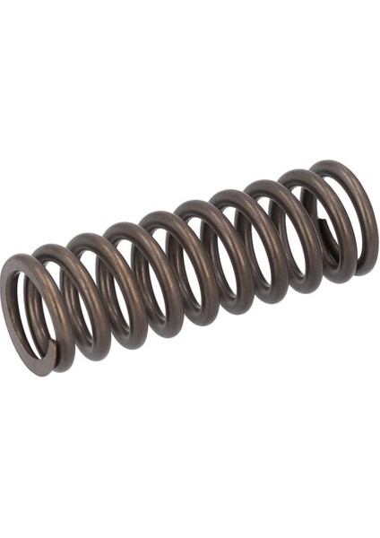 Febı 182909 Sılındır Kapagı Bılesenlerı Subap Yayı Renault Trucks