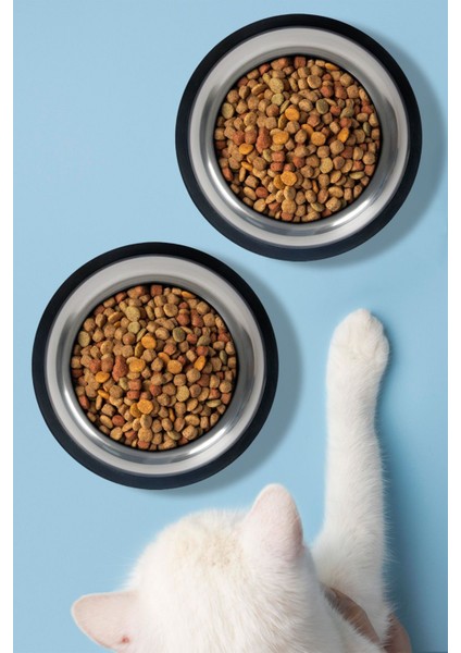 2 Adet Kedi Köpek Mama ve Su Kabı Çelik Kase 300 ml