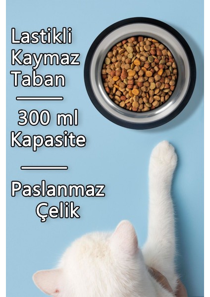 2 Adet Kedi Köpek Mama ve Su Kabı Çelik Kase 300 ml fiyatları