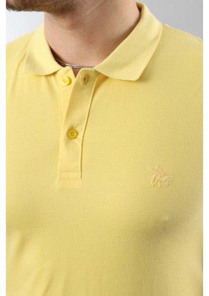 Erkek Slim Fit Dar Kesim Pamuklu Yumuşak Doku Nefes Alan Kumaş Erkek Polo Yaka T Shirt fiyatları