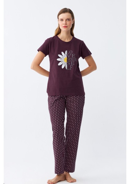 Kadın Mürdüm Papatya Baskılı Kısa Kollu Penye Pijama Takımı