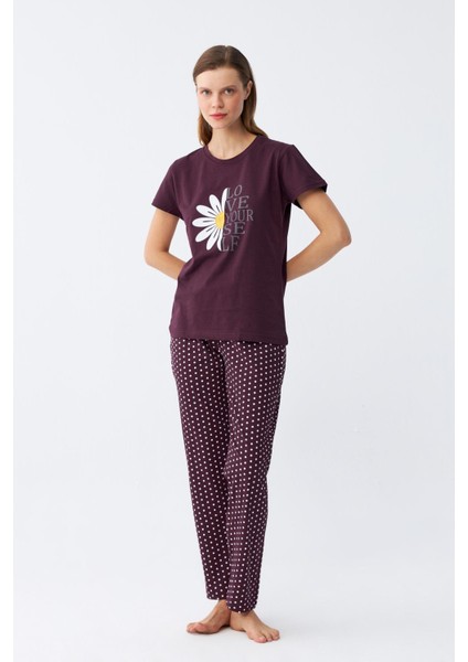 Kadın Mürdüm Papatya Baskılı Kısa Kollu Penye Pijama Takımı