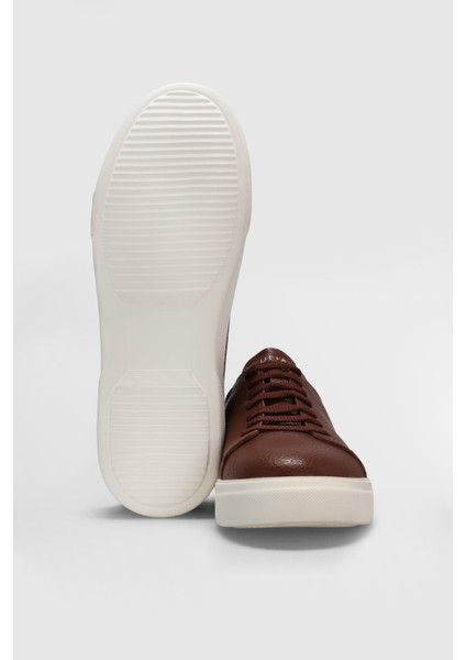 Tommy Erkek Sneaker Ayakkabı Siyah