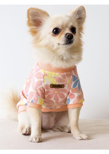 Çiçek Desenli Köpek Gömleği