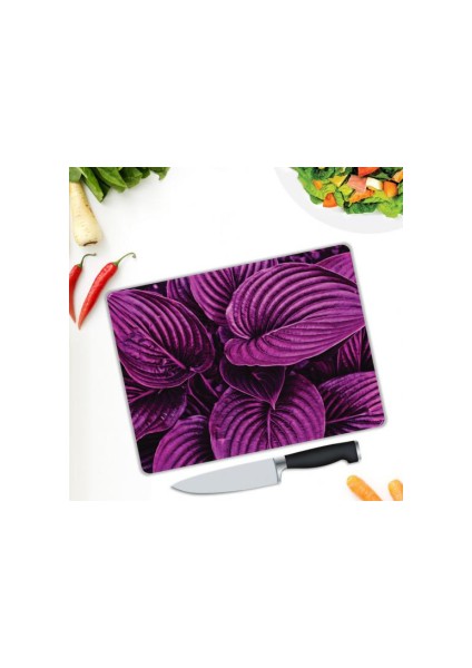 Cam Kesme Tahtası 61