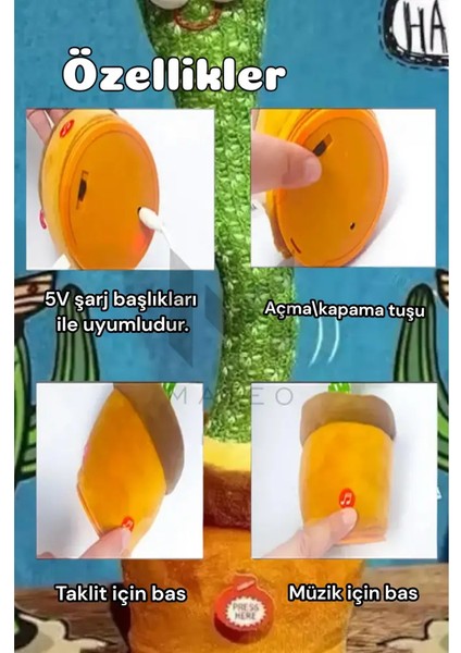 Auris Konuşan Dans Eden, Müzikli Işıklı Saksı Kaktüs Peluş Oyuncak modelleri